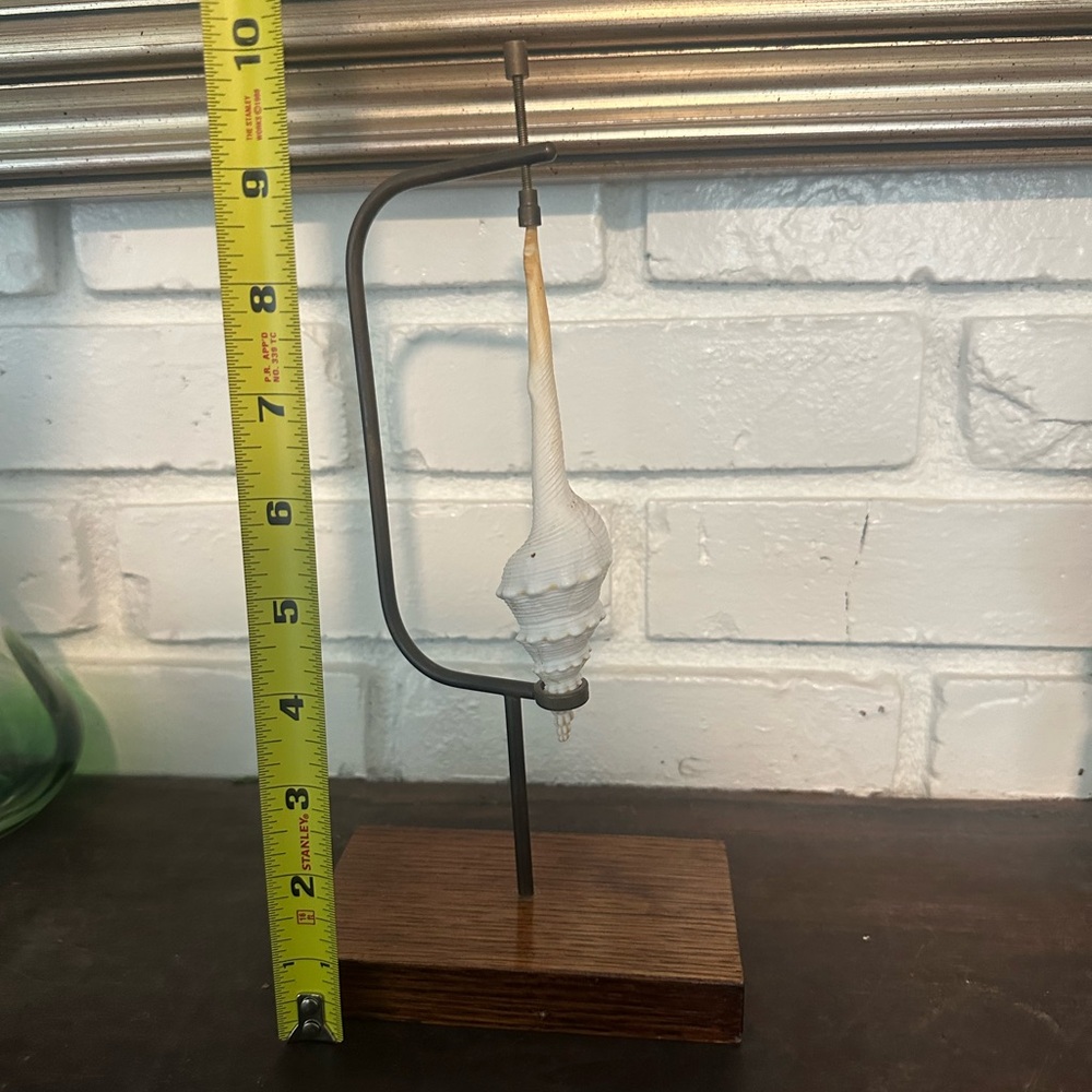 Elegant Shell Decor brass tension and wood Stand - Picture 7 of 7